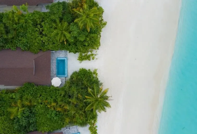 ویلای یک اتاق خوابه با استخر شنا, The Standard, Huruvalhi Maldives