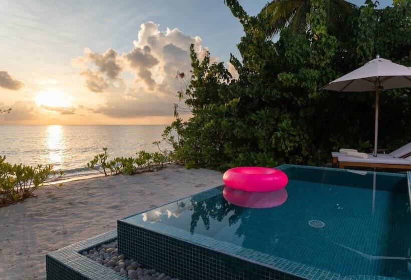プール付き１ベッドルームヴィラ, The Standard, Huruvalhi Maldives