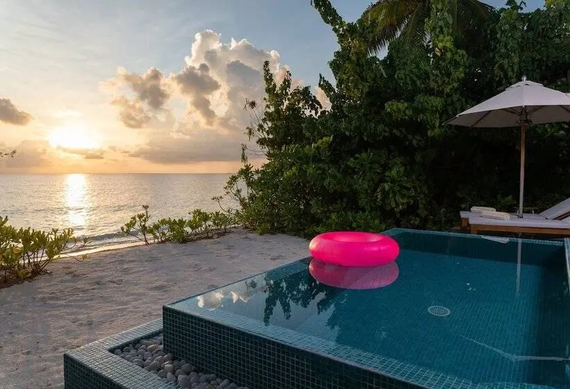 ویلای یک اتاق خوابه با استخر شنا, The Standard, Huruvalhi Maldives