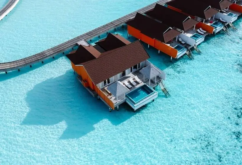 اتاق استاندارد, The Standard, Huruvalhi Maldives