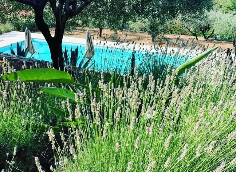 プールビュースタンダードルーム, Le Clos En Provence