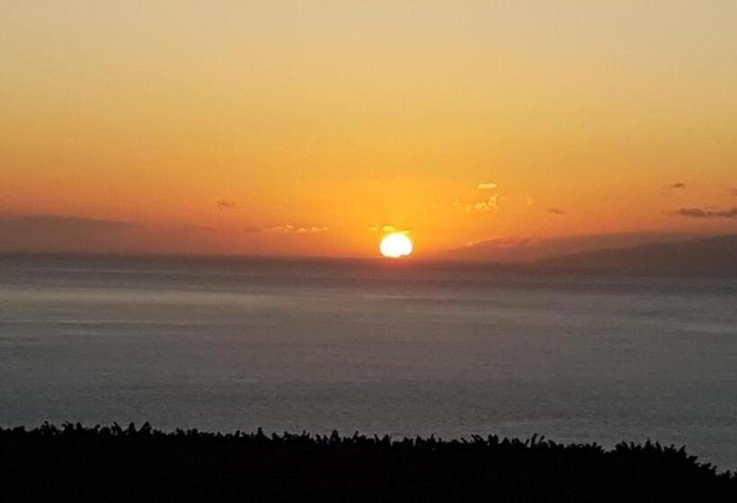 小型套房带阳台, Casa Mariposa Guesthouse  Adults Only