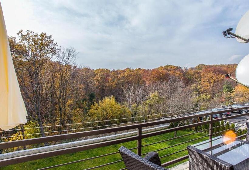 バルコニー付スイート, Houzzz21