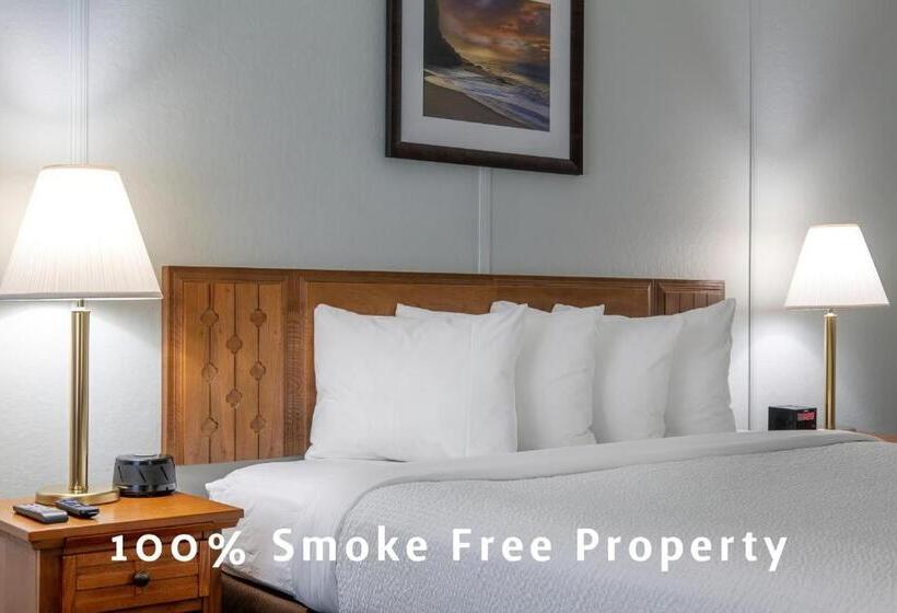 חדר דחוקס עם מיטת קינג, Highbrook Motel