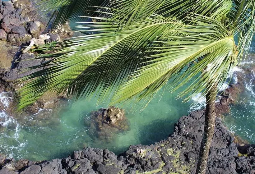 ２ダブルベッドのスタンダードルーム, Grand Naniloa Hotel Hilo   A Doubletree By Hilton