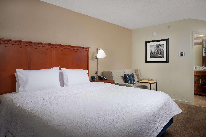 带大床的标准工作室, Hampton Inn Ann Arborsouth