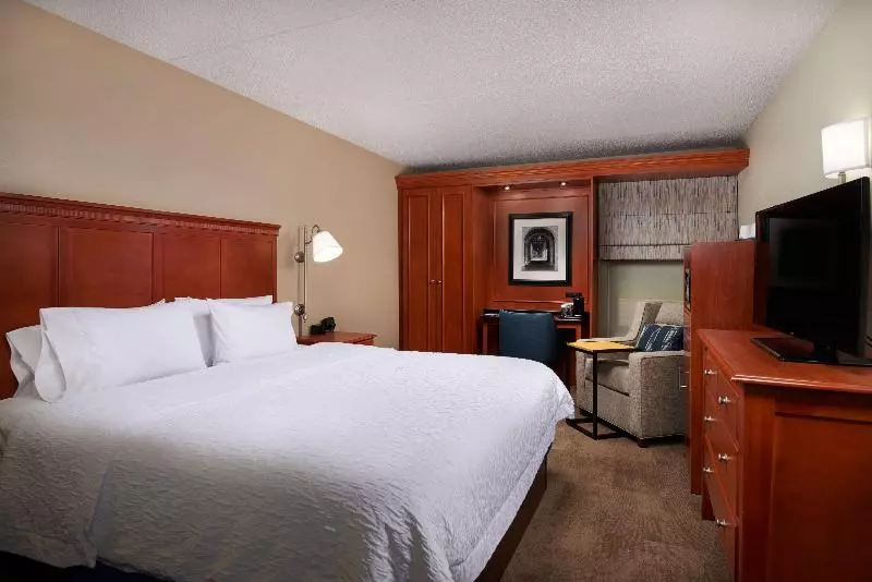 اتاق استاندارد با تخت بزرگ, Hampton Inn Ann Arborsouth