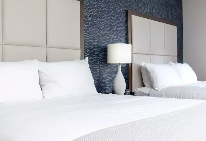 سوییت لوکس, Haywood Park Hotel, Ascend Hotel Collection