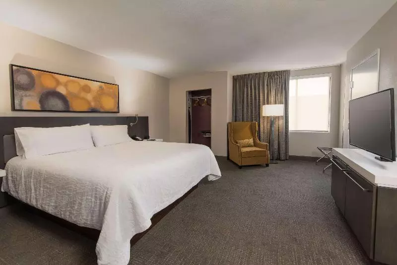 Standard-huone King-vuode, Hilton Garden Inn Las Colinas