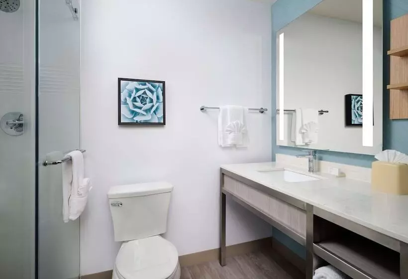 スタンダードルーム, Hilton Garden Inn San Jose / Milpitas
