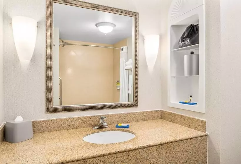 スタンダードルーム, Holiday Inn Express & Suites Wilmington Newark, An Ihg