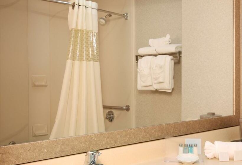 스탠다드 룸 더블 침대 2개, Best Western Plus Meadowlands