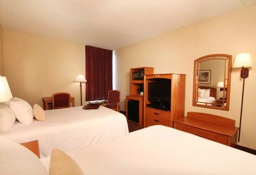 ２ダブルベッドのスタンダードルーム, Best Western Plus Meadowlands