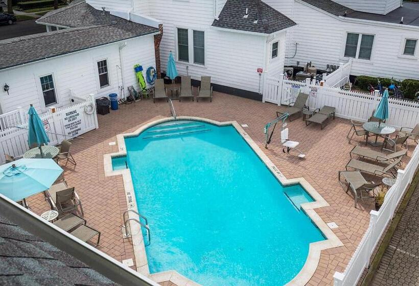 标准间带游泳池, The Hewitt Wellington