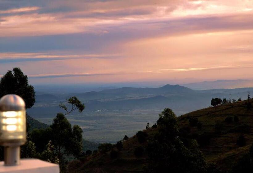 سوییت اجرایی, Mount  N  Mist