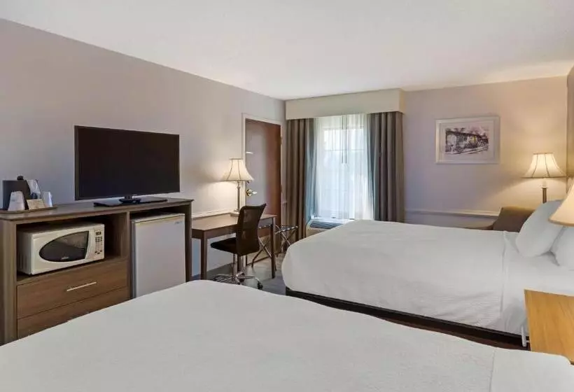 スタンダードルーム, Best Western Plus South Hill Inn