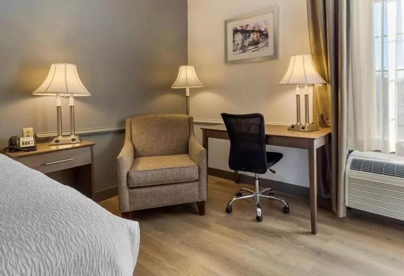 キングサイズベッドのスタンダードルーム, Best Western Plus South Hill Inn