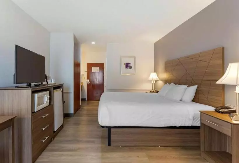 キングサイズベッドのスタンダードルーム, Best Western Plus South Hill Inn