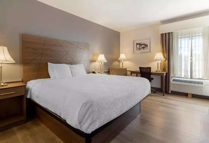 キングサイズベッドのスタンダードルーム, Best Western Plus South Hill Inn