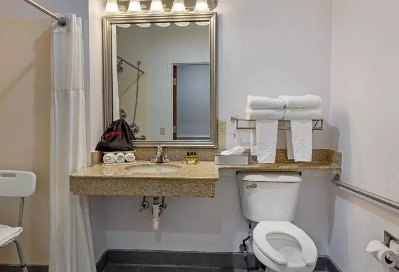 身障者適用キングサイズベッドルーム, Best Western Plus South Hill Inn