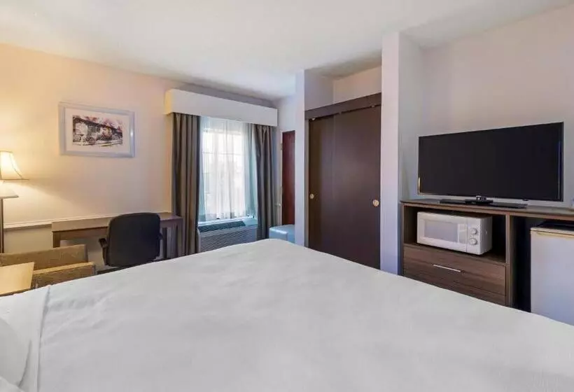 身障者適用キングサイズベッドルーム, Best Western Plus South Hill Inn