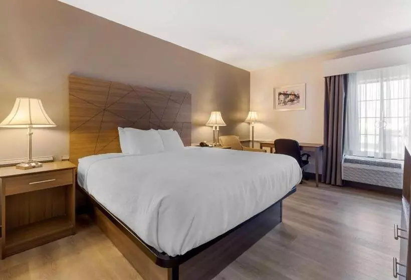 身障者適用キングサイズベッドルーム, Best Western Plus South Hill Inn