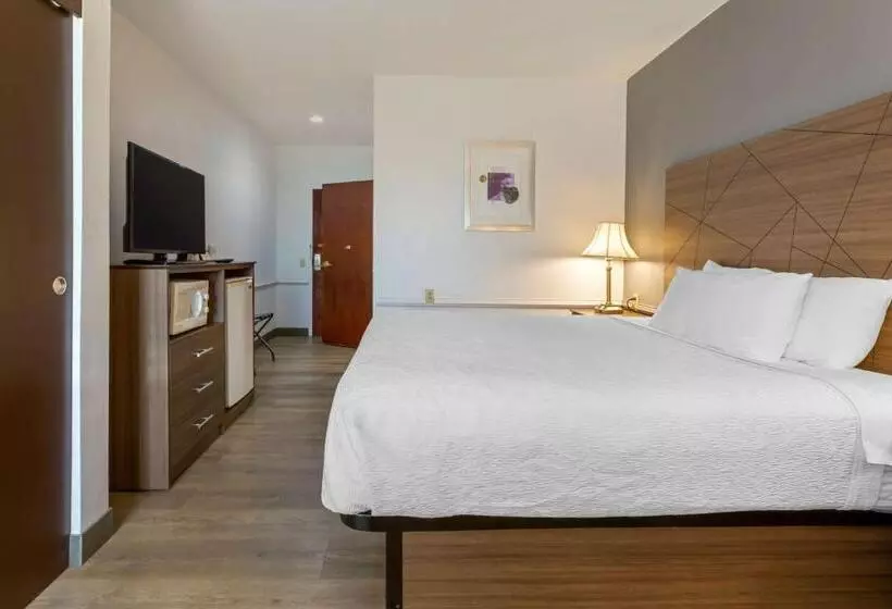 身障者適用キングサイズベッドルーム, Best Western Plus South Hill Inn