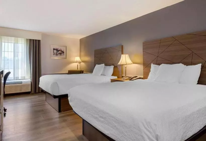 身障者適用スタンダードルーム, Best Western Plus South Hill Inn