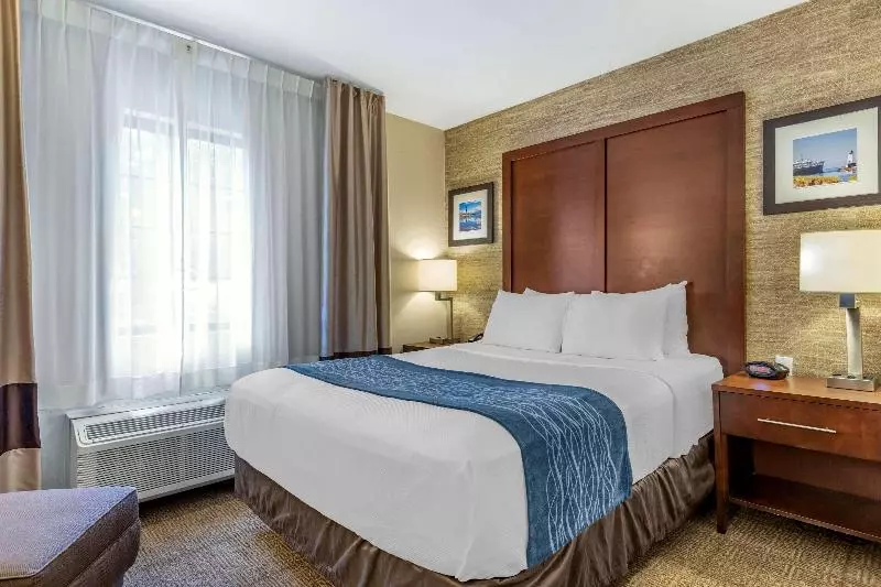 キングサイズベッドのスタンダードルーム, Comfort Inn Ludington Near Us 10