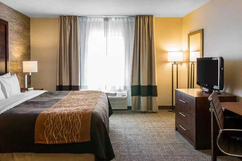 キングサイズベッドのスタンダードルーム, Comfort Inn Ludington Near Us 10