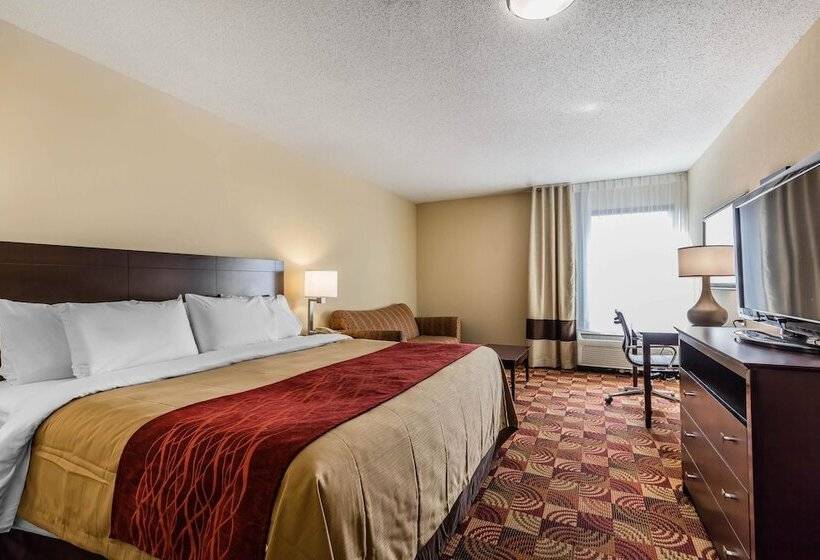 סוויטה, Comfort Inn & Suites Jasper Hwy 78 West