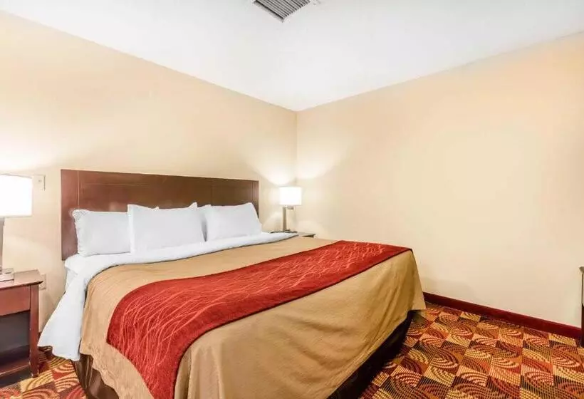 Standard-huone King-vuode, Comfort Inn & Suites Jasper Hwy 78 West