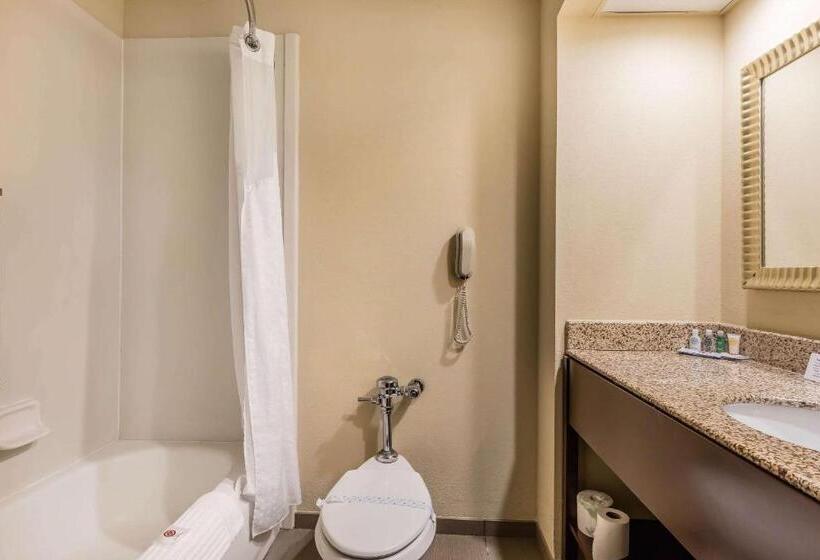 מיטת קינג בסוויטה, Comfort Inn & Suites Jasper Hwy 78 West