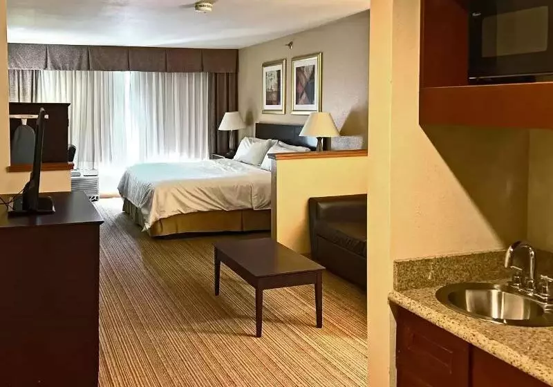 Sviitti Liikuntarajoitteisille, Comfort Inn & Suites Nw Milwaukee