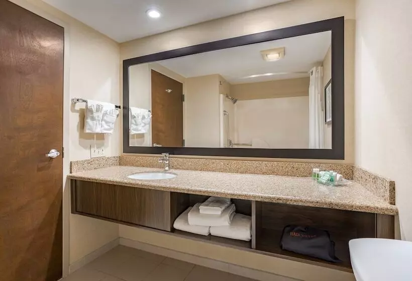 スタンダードルーム, Holiday Inn Canyon De Chelly Chinle, An Ihg