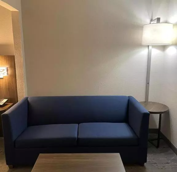 キングサイズベッドのエクゼクティブルーム, Holiday Inn Express Hotel & Suites Hiawassee, An Ihg