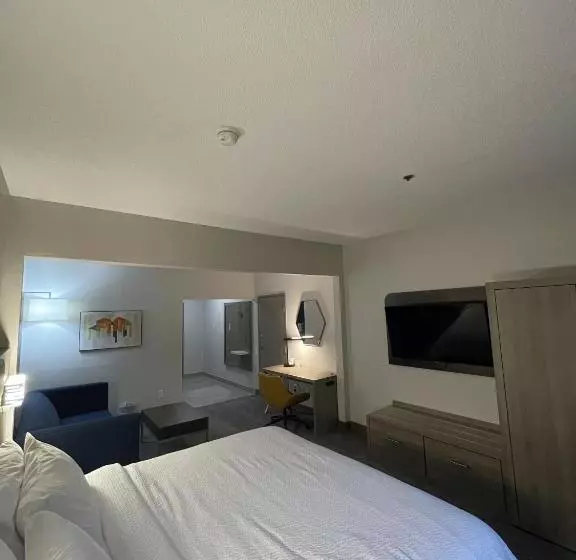 キングサイズベッドのエクゼクティブルーム, Holiday Inn Express Hotel & Suites Hiawassee, An Ihg