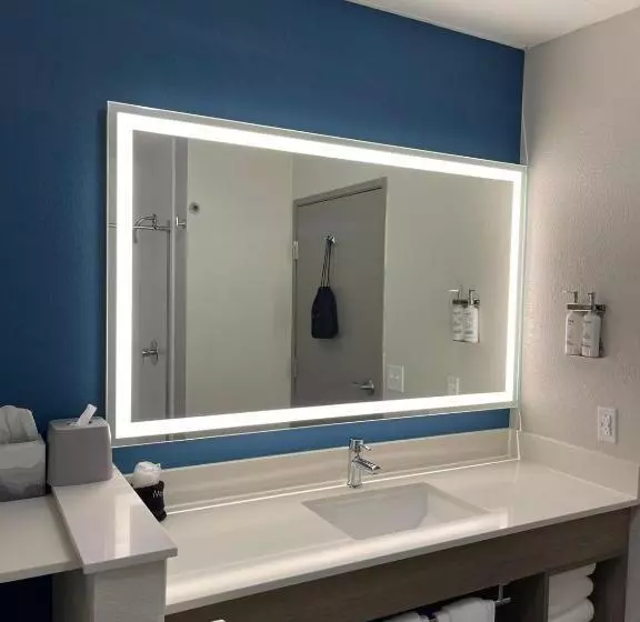 キングサイズベッドのエクゼクティブルーム, Holiday Inn Express Hotel & Suites Hiawassee, An Ihg