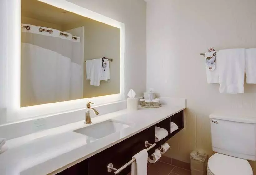 اتاق استاندارد, Holiday Inn Express Bellingham, An Ihg