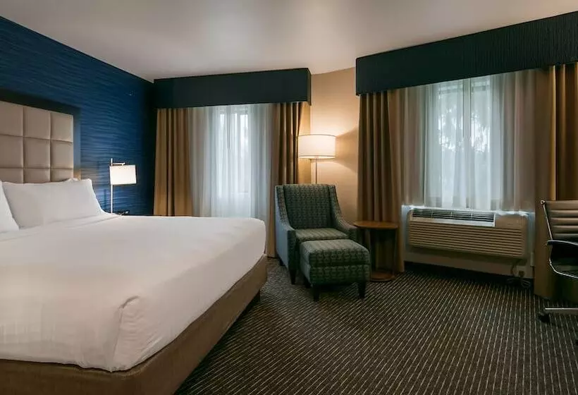 اتاق استاندارد, Holiday Inn Express Bellingham, An Ihg