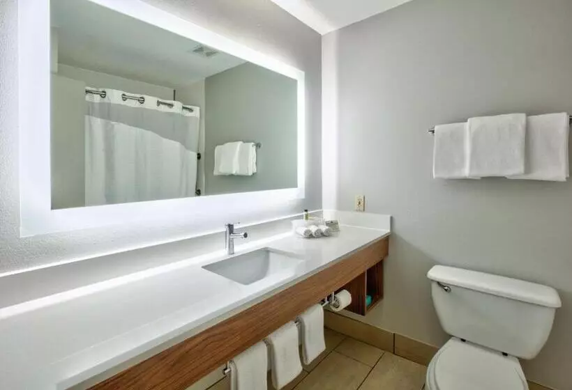 キングサイズベッドのエクゼクティブルーム, Holiday Inn Express   Hope, An Ihg