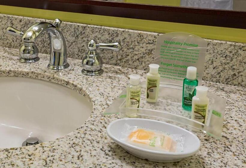 디럭스 룸, Holiday Inn Hotel French Quarter Chateau Lemoyne, An Ihg