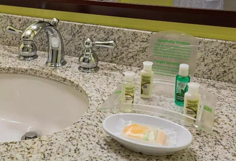デラックススイート, Holiday Inn Hotel French Quarter Chateau Lemoyne, An Ihg