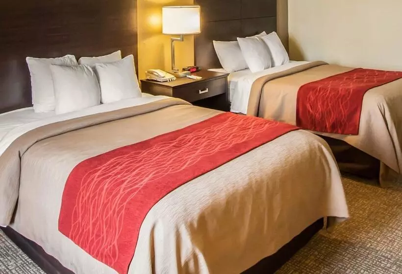 ２ダブルベッドのスタンダードルーム, Quality Inn Hayti North