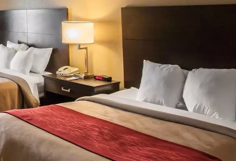２ダブルベッドのスタンダードルーム, Quality Inn Hayti North