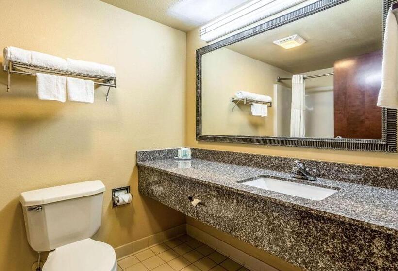 Стандартный Номер Кровать Кинг, Quality Inn Sandersville