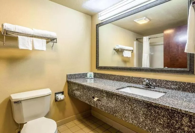 キングサイズベッドのスタンダードルーム, Quality Inn Sandersville