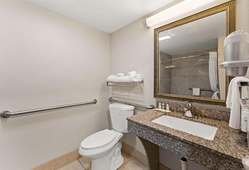 غرفة قياسية سرير كينج لذوى الإحتياجات الخاصة, Quality Inn Sandersville