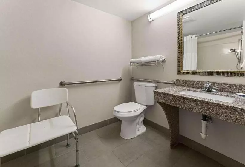 身障者適用キングサイズベッドルーム, Quality Inn Sandersville