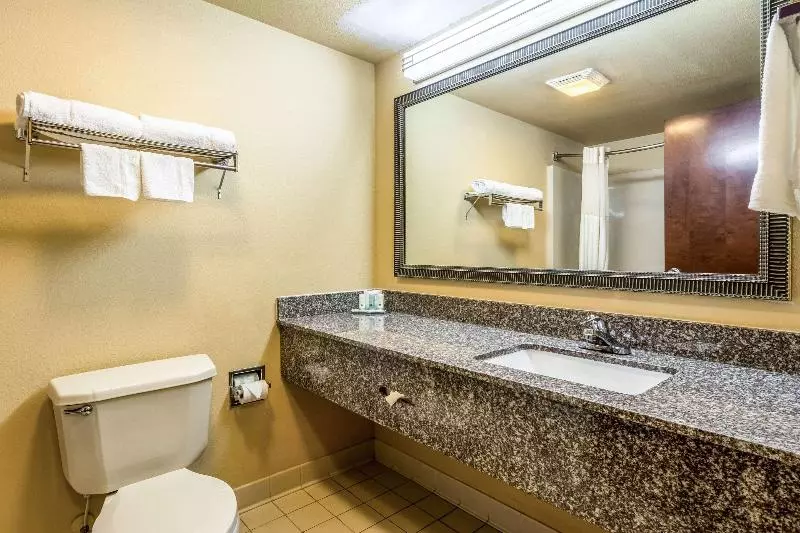 キングサイズベッドのスタンダードルーム, Quality Inn Sandersville